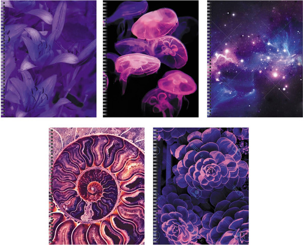 Изображение товара Тетрадь Listoff Violet Mix / ТС968551