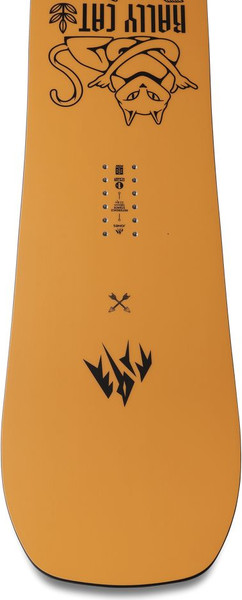 Изображение товара Сноуборд Jones Snowboards Rally Cat 2024-2025 (р.161)
