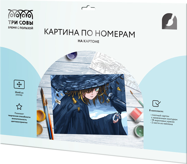 Изображение товара Картина по номерам Три совы Чародейка / КК_53781