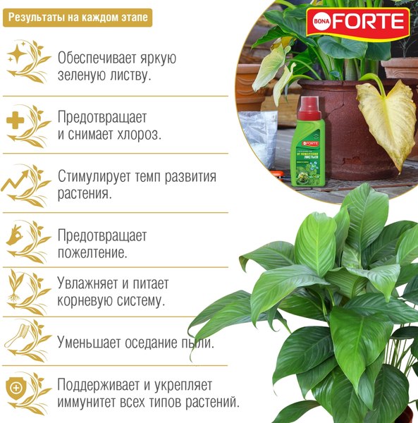 Изображение товара Удобрение Bona Forte Средство защиты растений 4в1 от пожелтения листьев BF31010071 (285мл)