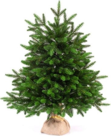 Изображение товара Ель искусственная National Tree Company Лесная / ЛС-60 (60см)