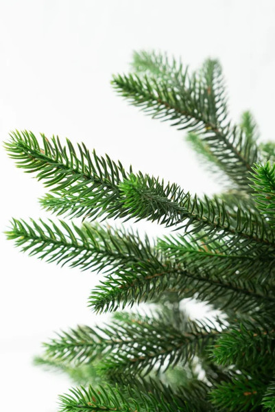 Изображение товара Ель искусственная National Tree Company Лесная / ЛС-80 (80см)