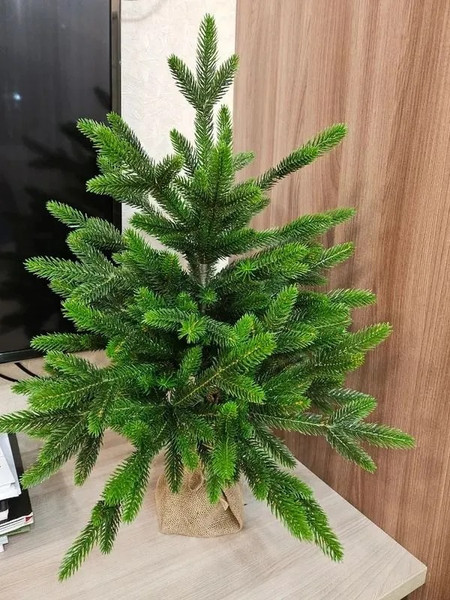 Изображение товара Ель искусственная National Tree Company Лесная / ЛС-80 (80см)