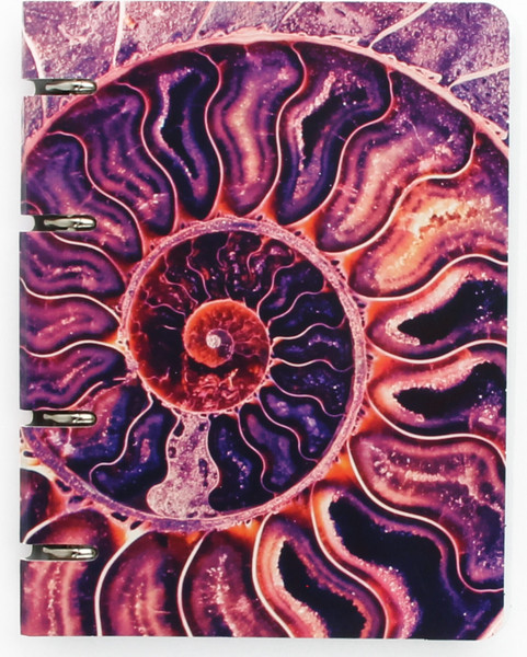 Изображение товара Тетрадь Listoff Наутилус / ТК1005213