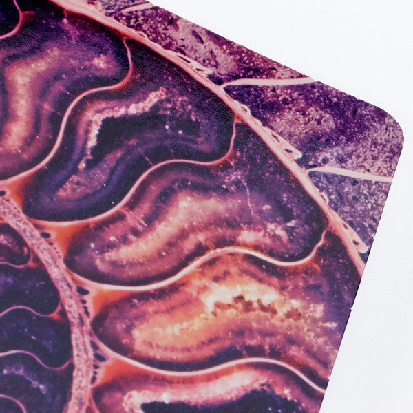 Изображение товара Тетрадь Listoff Наутилус / ТК1005213