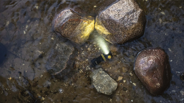 Изображение товара Фонарь Armytek Elf C1 USB-C Warm / F05003W