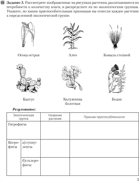 Изображение товара Рабочая тетрадь Аверсэв Биология. 10 класс. Базовый уровень. 2024 мягкая обложка (Маглыш Сабина)