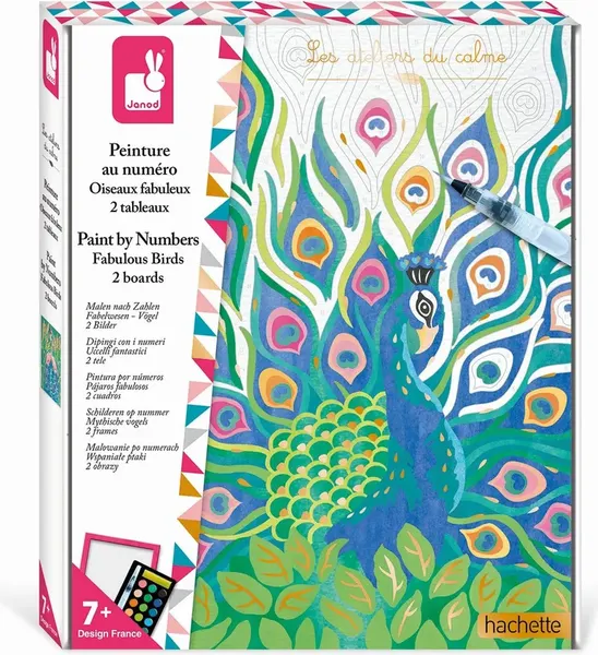 Изображение товара Картина по номерам Janod Hachette Удивительные птицы J07986