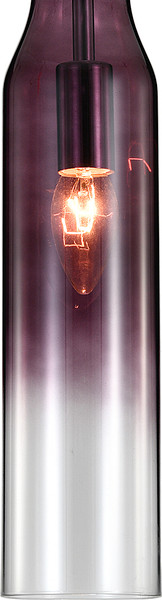 Изображение товара Потолочный светильник Indigo Light Beuta V000564