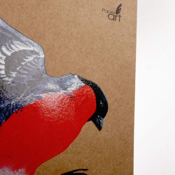 Изображение товара Скетчбук Paper Art Kids Снегирь / СПСЛ540171