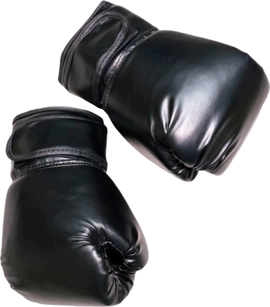 Изображение товара Боксерские перчатки Romana МФ-МК-01.71.03 (черный)