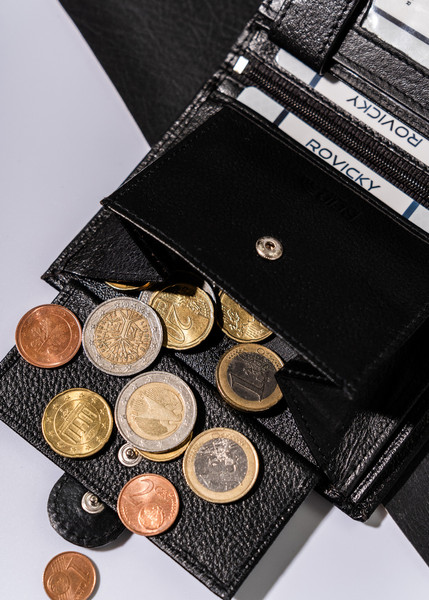 Изображение товара Портмоне Cedar Rovicky R-N4L-PDM (черный)