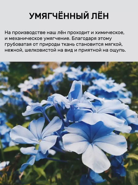 Изображение товара Плед Pole Kvetak (Беларускі лён) 165x220 24С117-ШР/у./л.с.уп. (1330 рис.1 /сорт1)