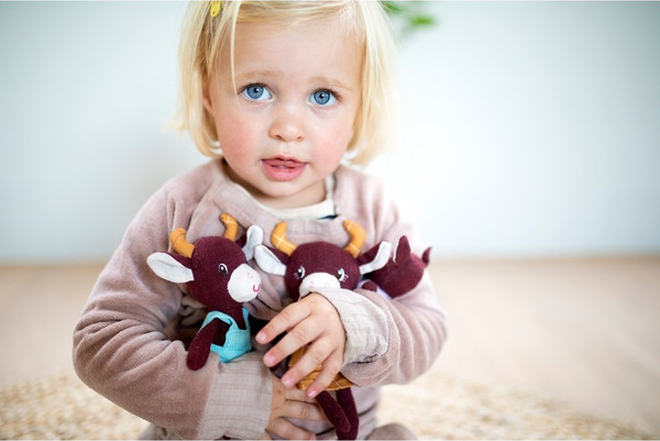 Изображение товара Набор мягких игрушек Lilliputiens Розали и ее семья 83246