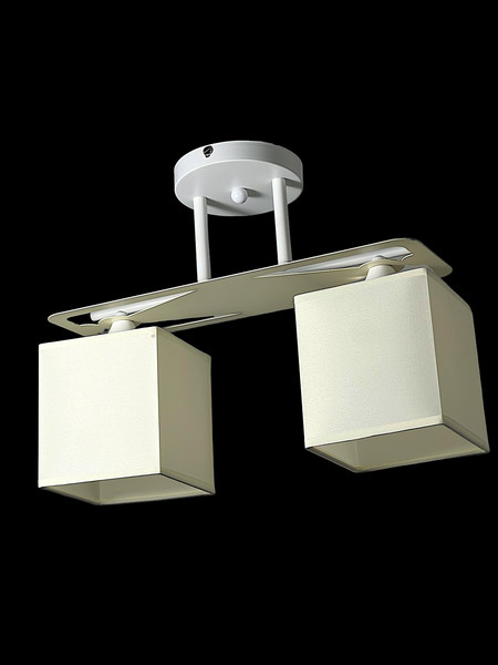 Изображение товара Потолочный светильник No Brand DA5103/2