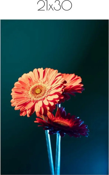 Изображение товара Постер Citydecor Цветы 1 (21x30)