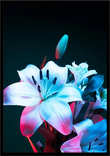 Изображение товара Постер Citydecor Цветы 10 (21x30)