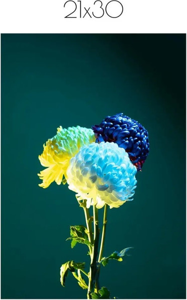 Изображение товара Постер Citydecor Цветы 11 (21x30)