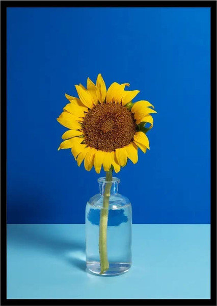 Изображение товара Постер Citydecor Цветы 12 (21x30)