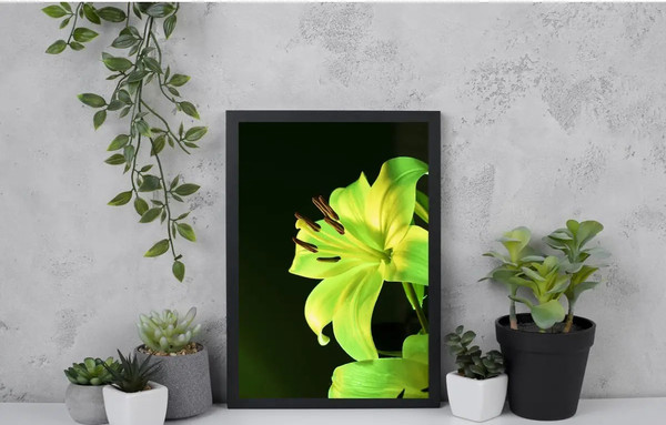 Изображение товара Постер Citydecor Цветы 13 (21x30)