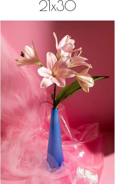 Изображение товара Постер Citydecor Цветы 2 (21x30)