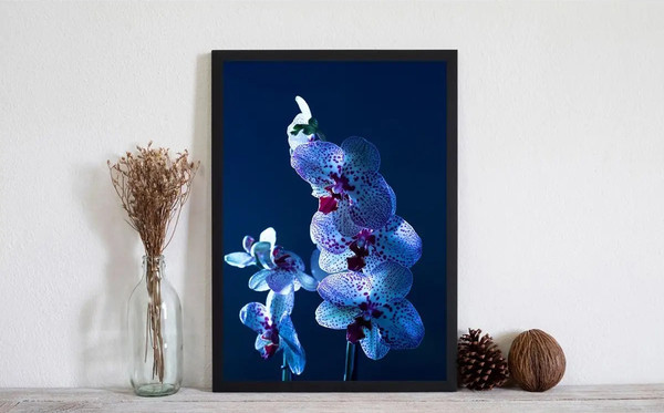 Изображение товара Постер Citydecor Цветы 5 (21x30)