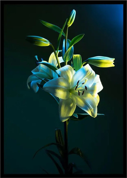 Изображение товара Постер Citydecor Цветы 6 (21x30)