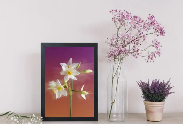 Изображение товара Постер Citydecor Цветы 7 (21x30)