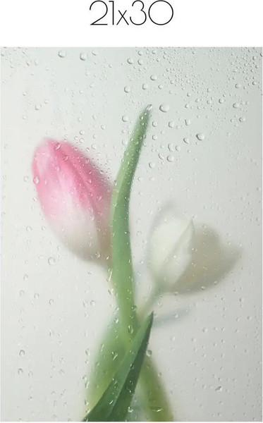 Изображение товара Постер Citydecor Цветы 9 (21x30)