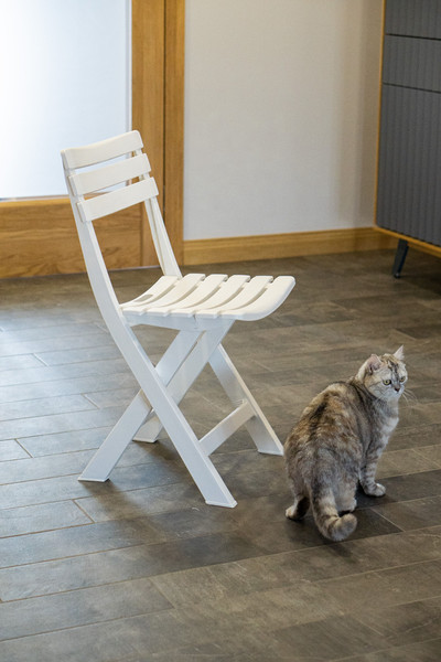 Изображение товара Комплект стульев садовых Ipae Progarden Birki / BIR80CBI-4 (4шт, белый)