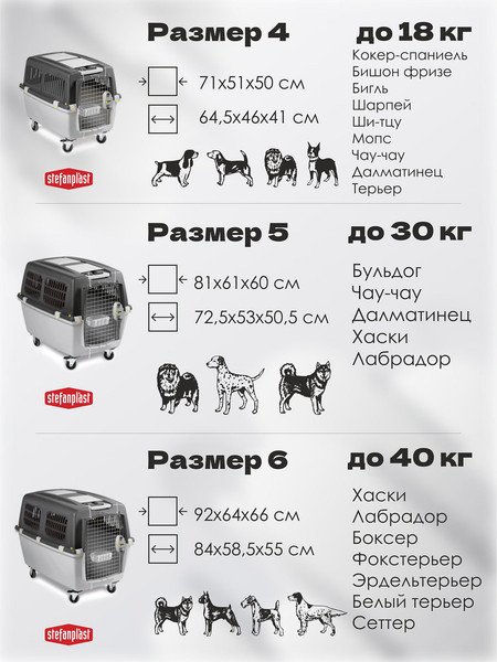 Изображение товара Переноска для животных Stefanplast Gulliver 6 / 97480