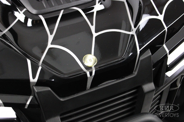 Изображение товара Детский автомобиль RiverToys Buggy Spider P333PP (черный)