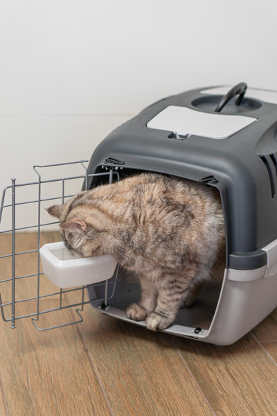 Изображение товара Миска для переноски Stefanplast 97921