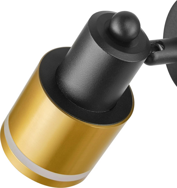 Изображение товара Спот Citilux Bruno CL565514 (черный/бронза)