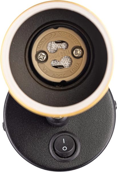 Изображение товара Спот Citilux Bruno CL565514 (черный/бронза)