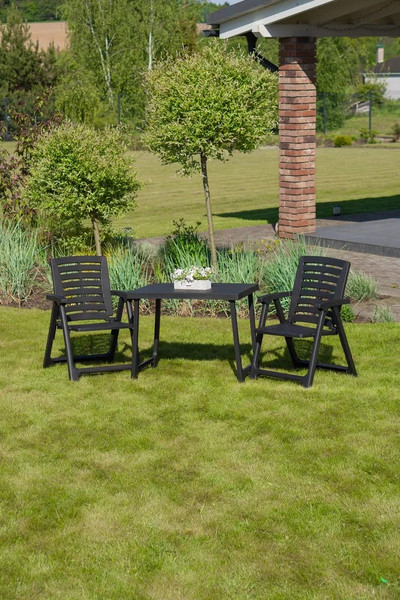 Изображение товара Комплект садовой мебели Ipae Progarden Pik Nik / PIK20CAN (антрацит)