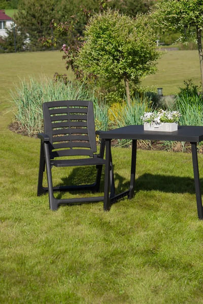 Изображение товара Комплект садовой мебели Ipae Progarden Pik Nik / PIK20CAN (антрацит)