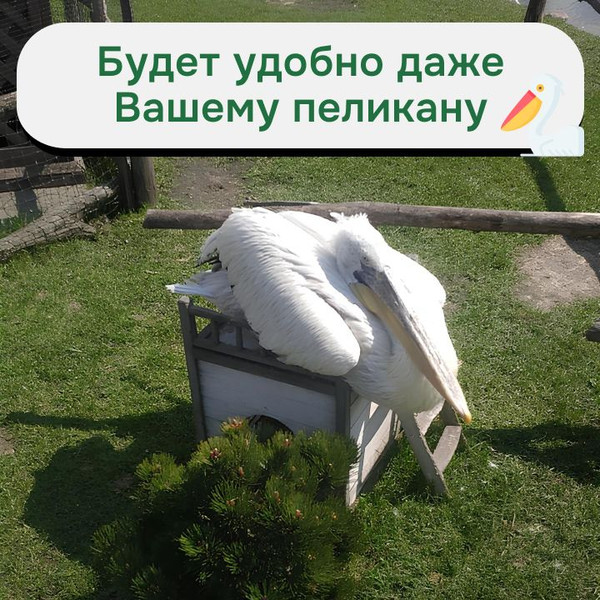 Изображение товара Домик для животных Dipriz Д.7617 (белый бейц/бейц отто)