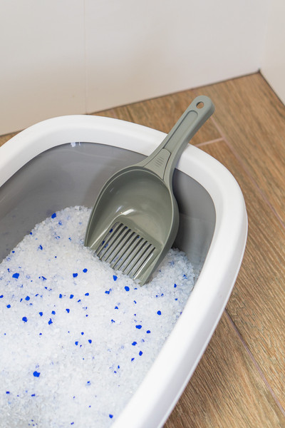 Изображение товара Совок для туалета Stefanplast 96427 (туманно-зеленый)