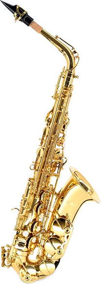 Изображение товара Саксофон Vivoton Student