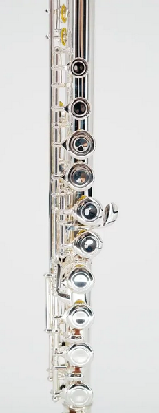 Изображение товара Флейта Vivoton Standart 16X