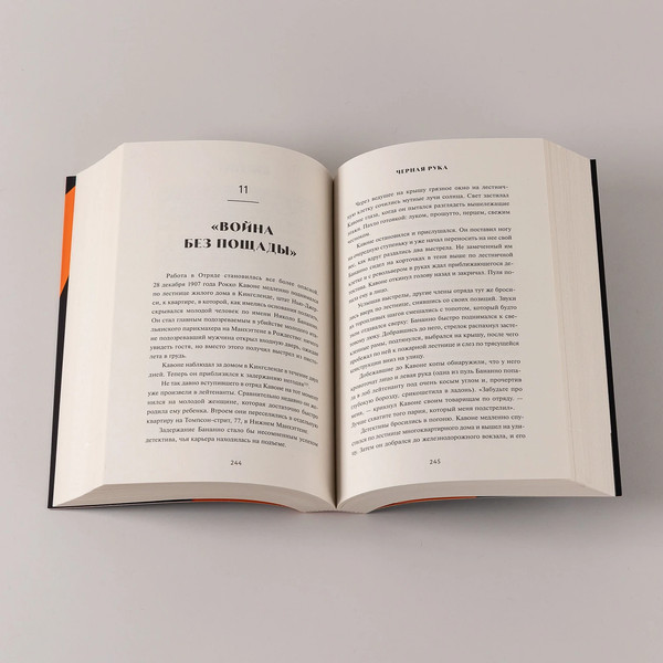 Изображение товара Книга Альпина Черная рука (Толти Стефан)