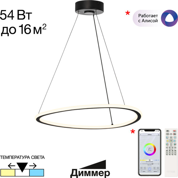 Изображение товара Потолочный светильник Citilux Trio CL215B051 (черный)