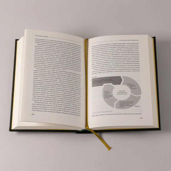 Изображение товара Книга Альпина Устойчивое инвестирование, твердая обложка (Бриль Герман)