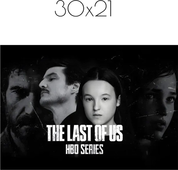 Изображение товара Постер Citydecor The Last Of Us 7 (21x30)