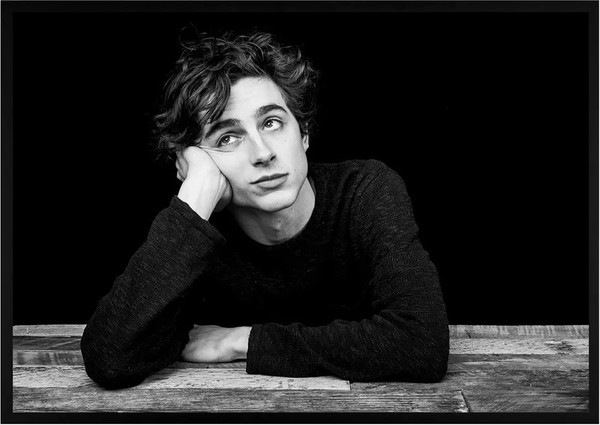 Изображение товара Постер Citydecor Timothee Chalamet 1 (21x30)