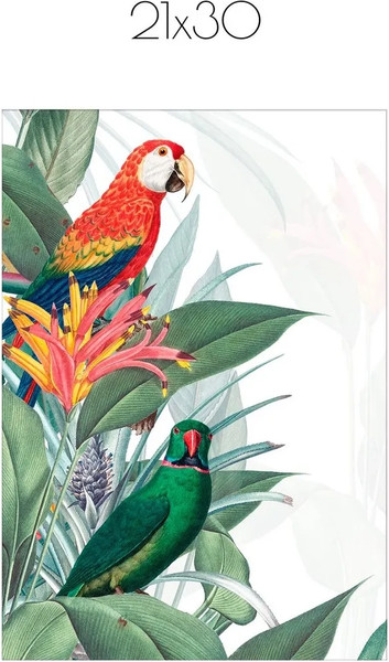 Изображение товара Постер Citydecor Попугайчики 8 (21x30)