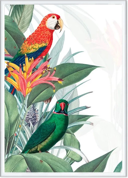 Изображение товара Постер Citydecor Попугайчики 8 (21x30)