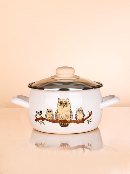 Изображение товара Кастрюля ЭСТЕТ Совы / ЭТ-72993