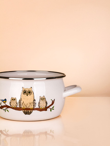 Изображение товара Кастрюля ЭСТЕТ Совы / ЭТ-72993